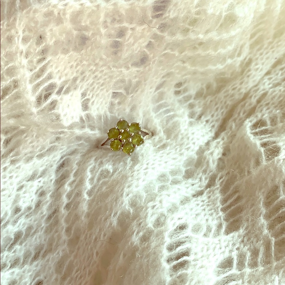 Dinner ring
